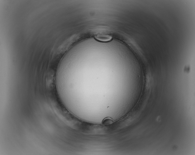 X0000111620073200907311213