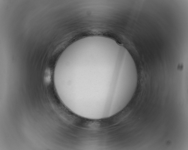 X0000111620075200907311213