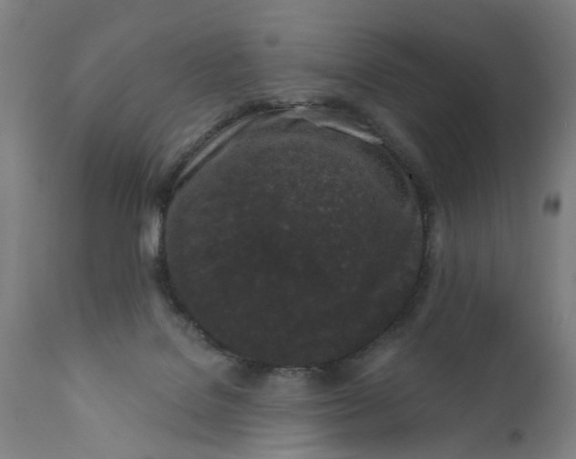 X0000111620076200907311213