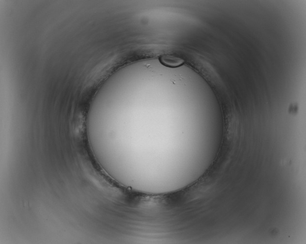 X0000111620077200907311213