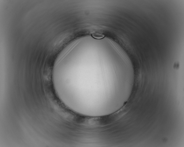 X0000111620078200907311213