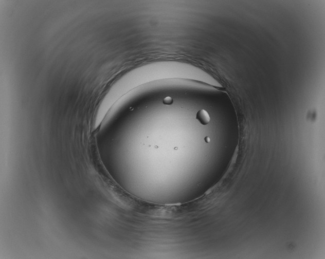 X0000111620080200907311213