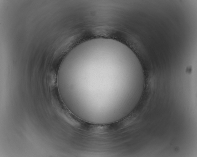 X0000111620081200907311213