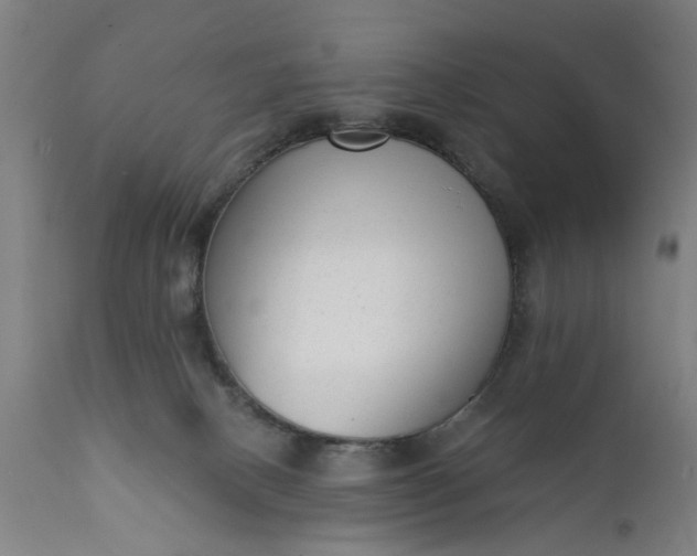 X0000111620082200907311213