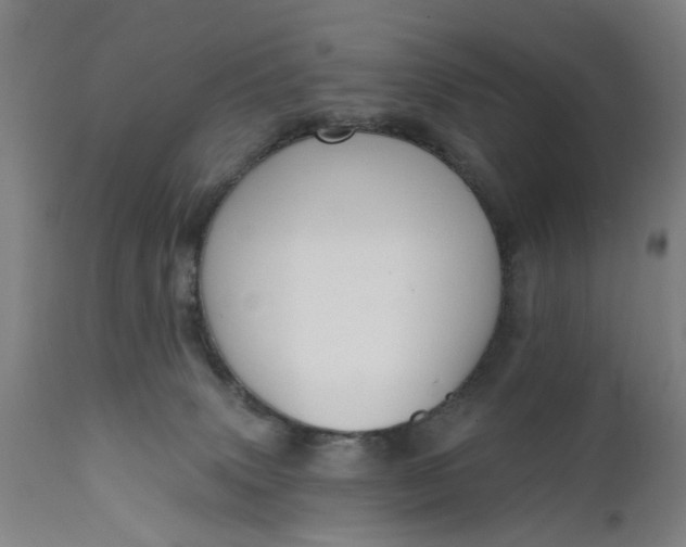 X0000111620083200907311213