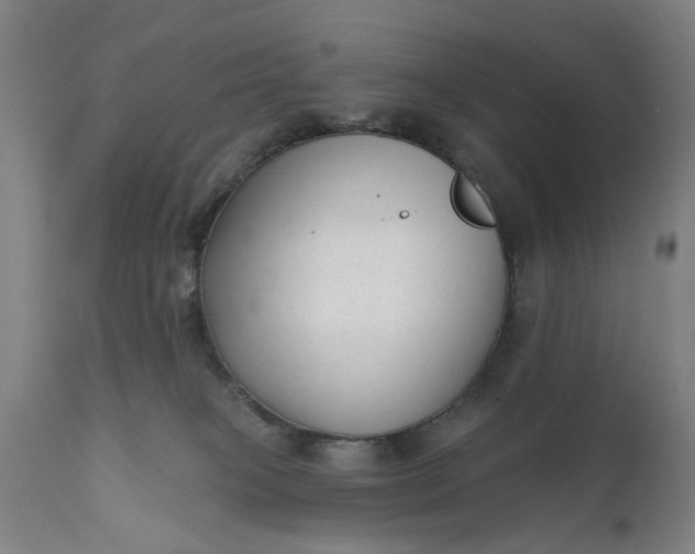 X0000111620085200907311213