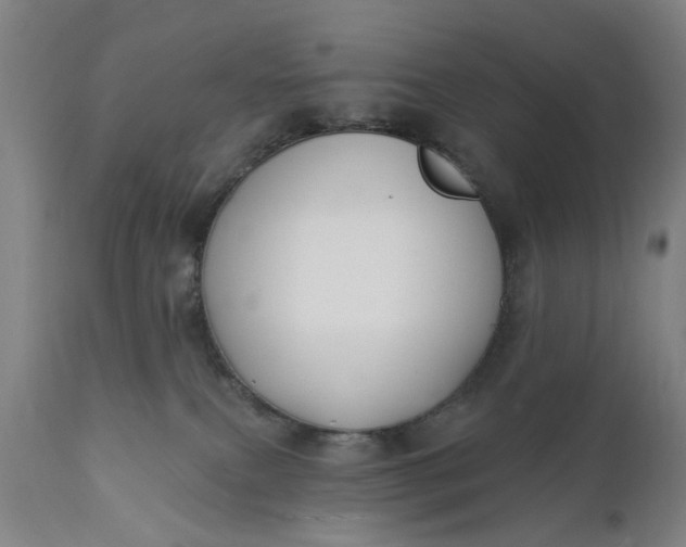 X0000111620087200907311213