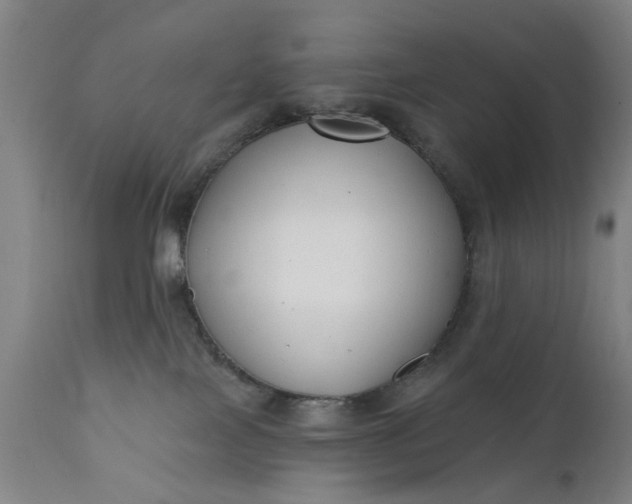 X0000111620089200907311213