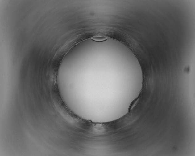 X0000111620091200907311213