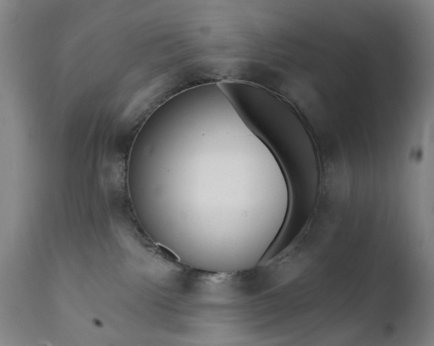 X0000111620092200907311213