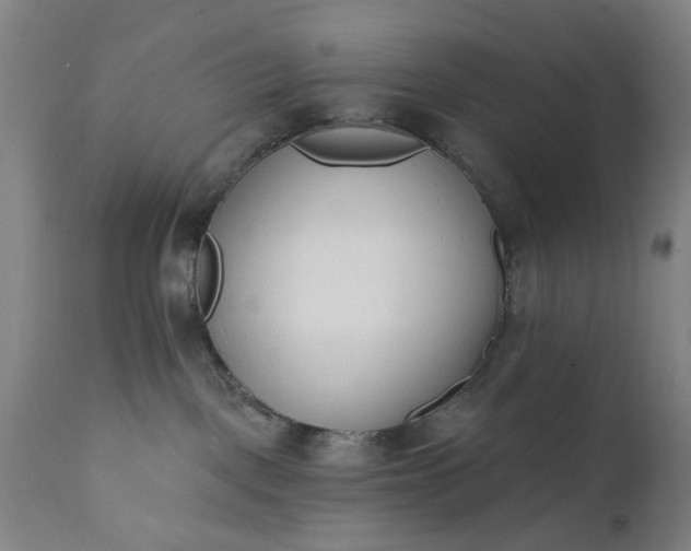 X0000111620093200907311213