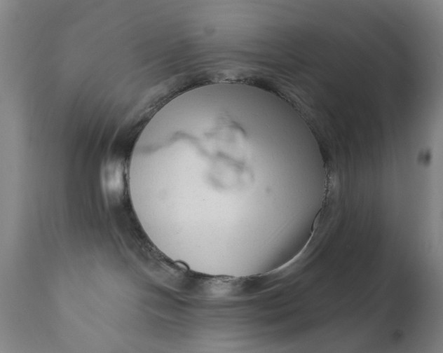 X0000111620094200907311213