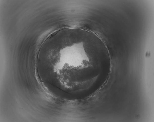 X0000111620097200907311212