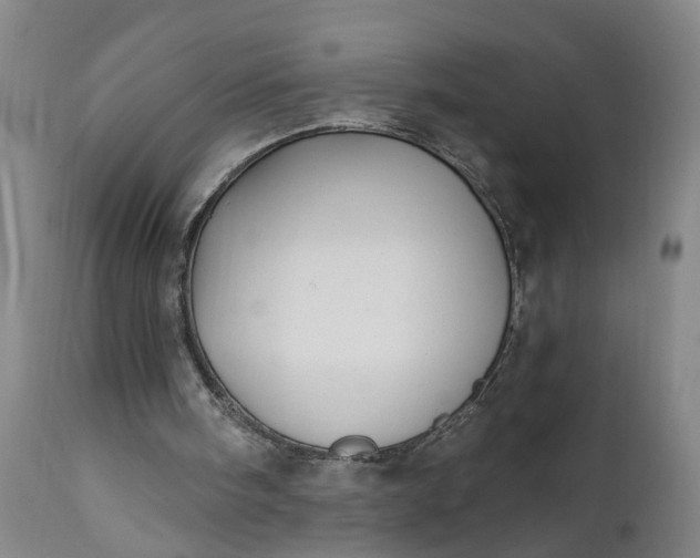 X0000111620098200907311212