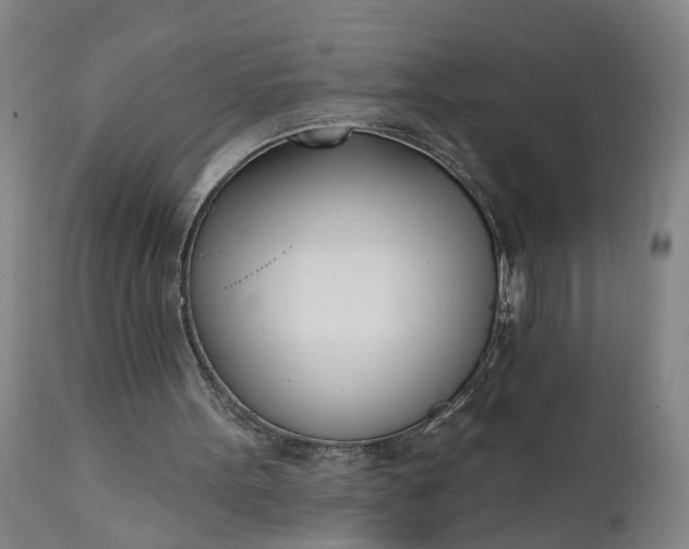 X0000111620099200907311212