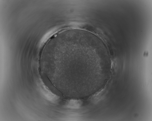 X0000111620101200907311212