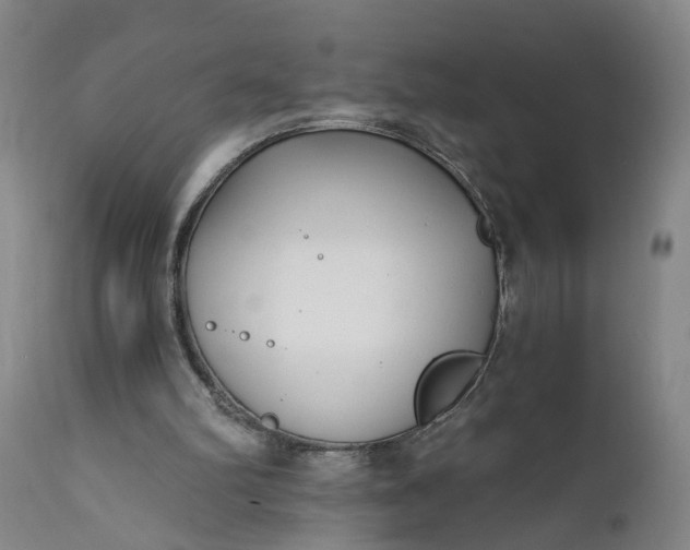 X0000111620102200907311212