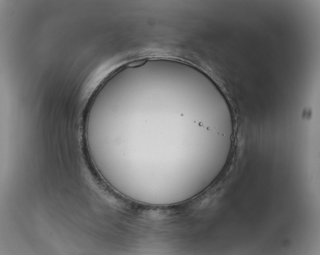 X0000111620103200907311212