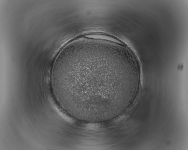 X0000111620105200907311212