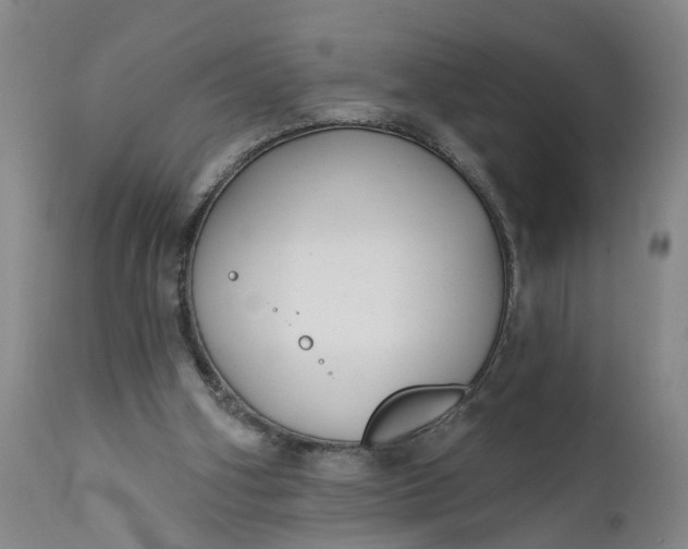 X0000111620106200907311212