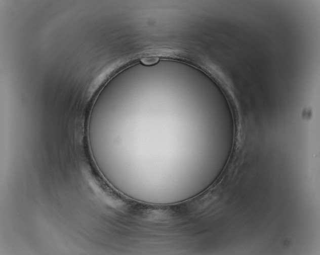 X0000111620107200907311212