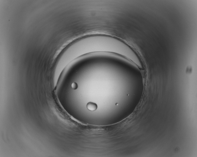 X0000111620108200907311212