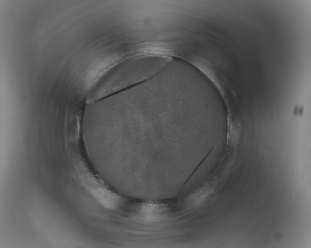 X0000111620109200907311212