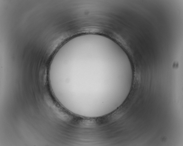 X0000111620110200907311212