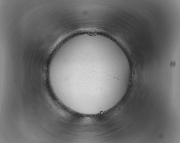 X0000111620111200907311212