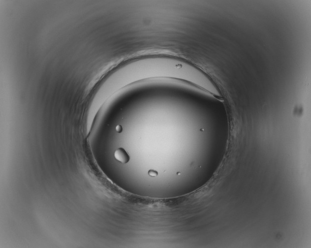 X0000111620112200907311212