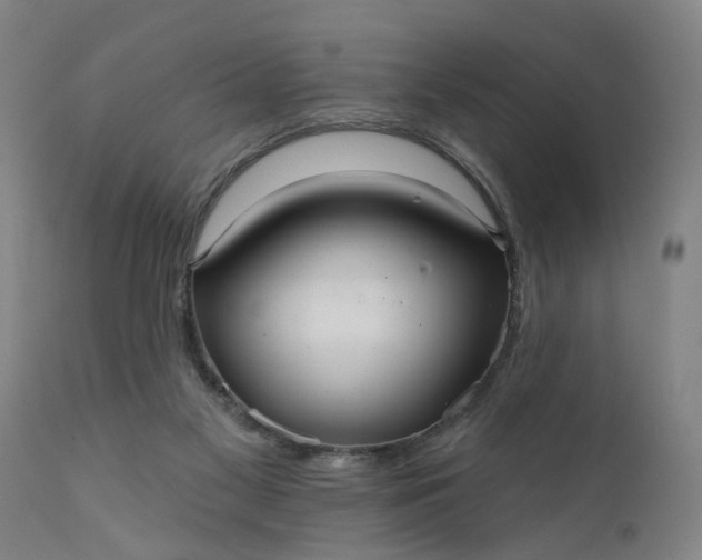 X0000111620117200907311212