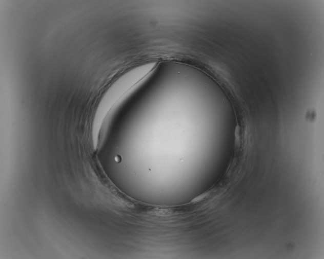 X0000111620121200907311212