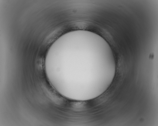 X0000111620122200907311212