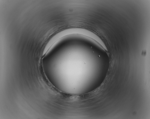 X0000111620124200907311212