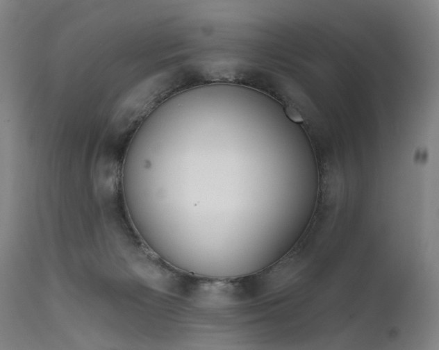 X0000111620125200907311212