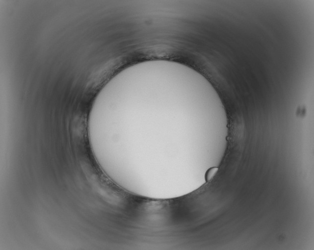 X0000111620126200907311212