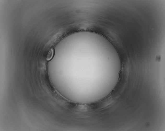 X0000111620127200907311212