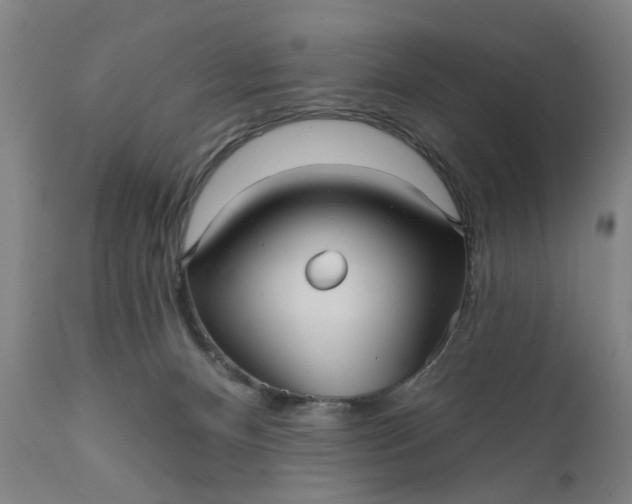 X0000111620128200907311212