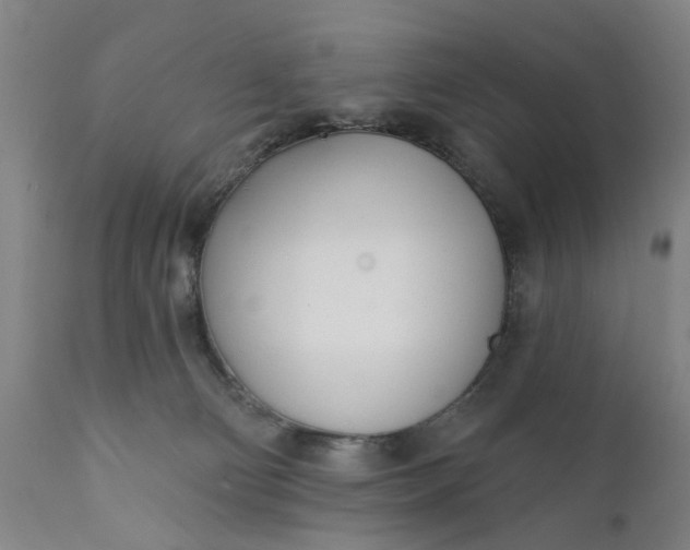 X0000111620130200907311212