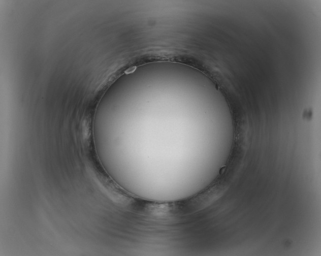 X0000111620131200907311212