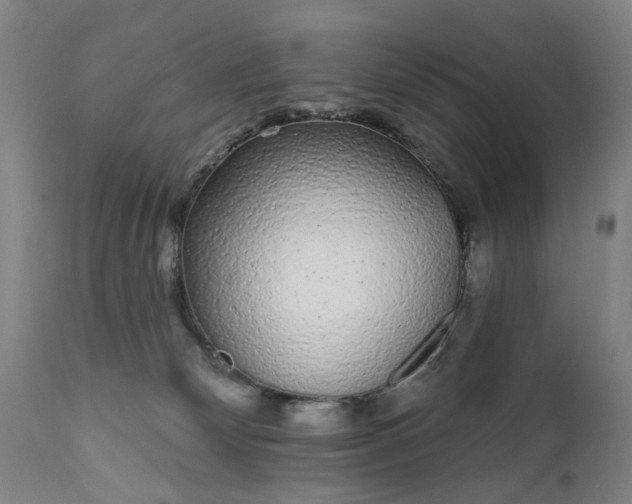 X0000111620132200907311212