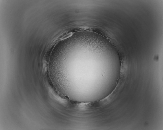 X0000111620136200907311212