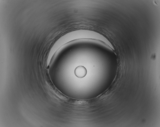 X0000111620137200907311212