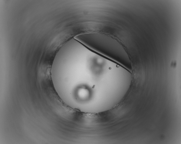 X0000111620141200907311212