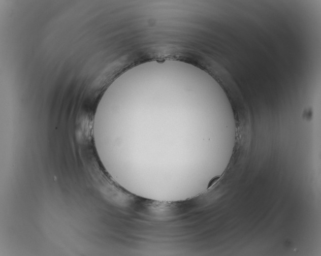 X0000111620142200907311212