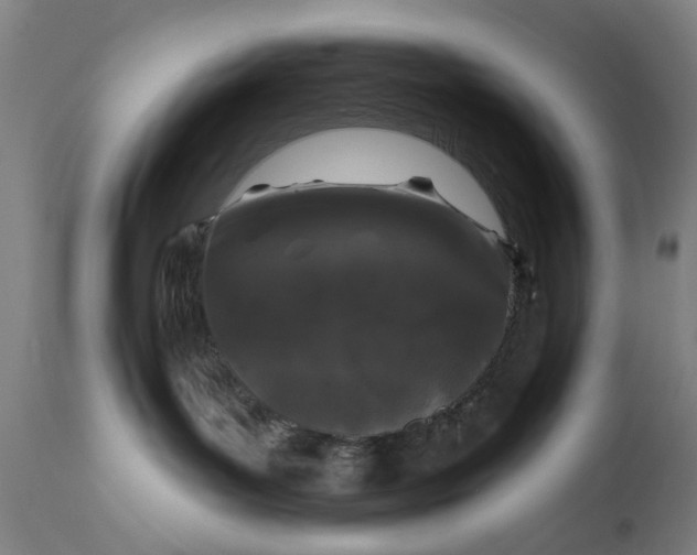 X0000111620143200907311212