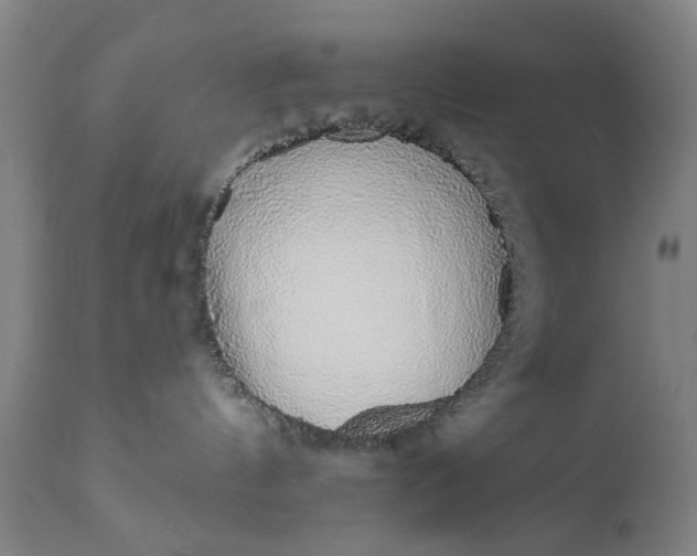 X0000111620144200907311212