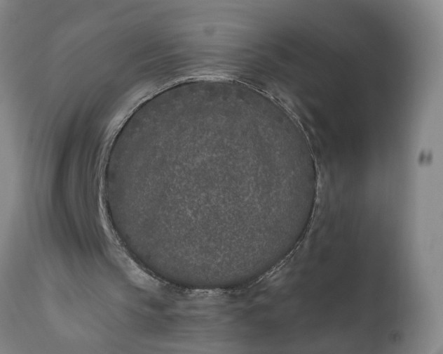 X0000111620145200907311211