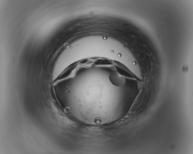 X0000111620146200907311211