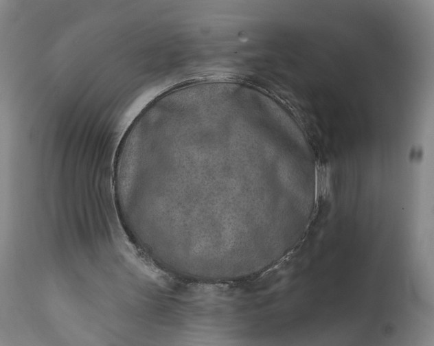 X0000111620147200907311211